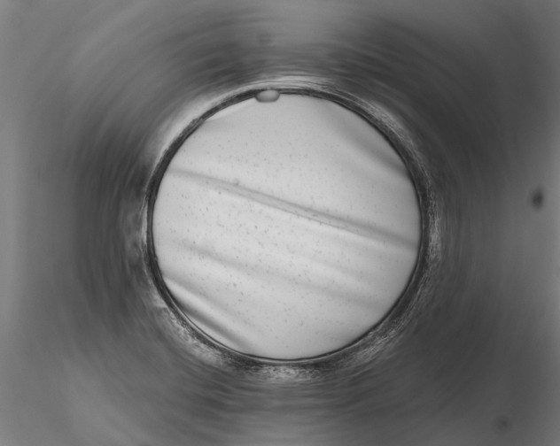 X0000115671420200912031345