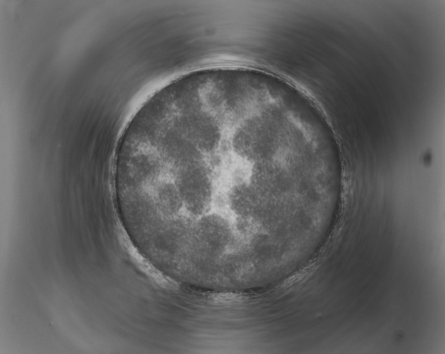 X0000115671421200912031345