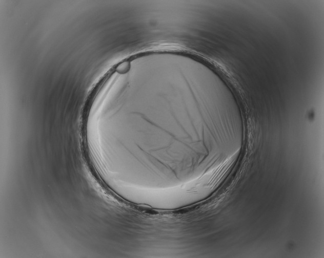 X0000115671422200912031345