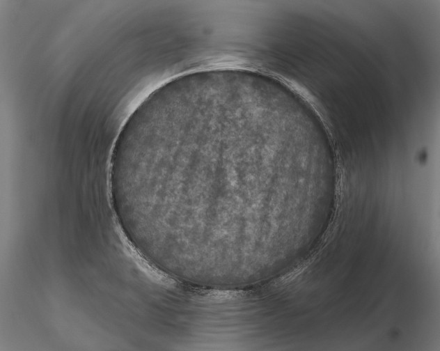 X0000115671423200912031345