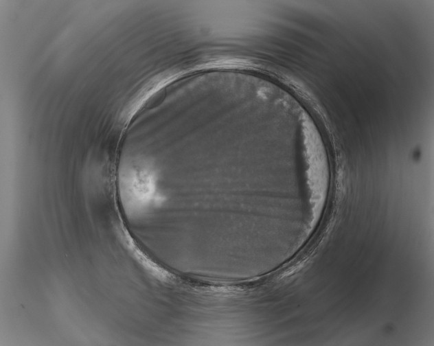 X0000115671425200912031345