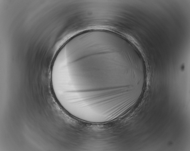 X0000115671428200912031345