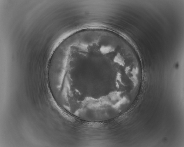 X0000115671429200912031345