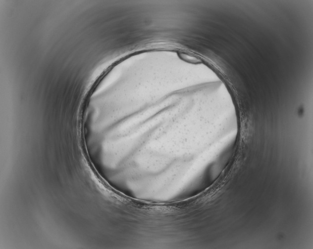 X0000115671430200912031345