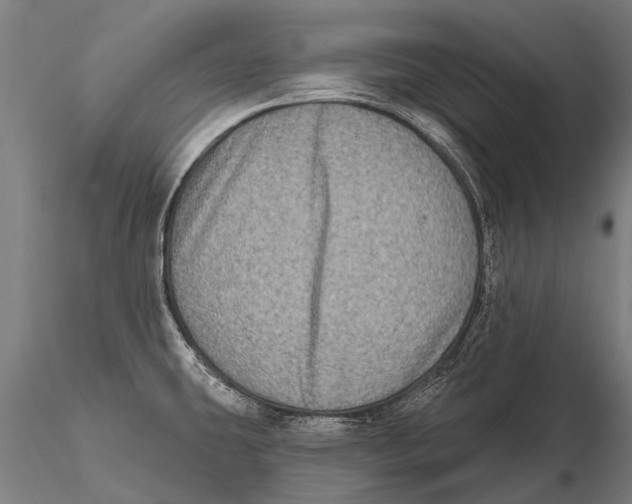 X0000115671431200912031345