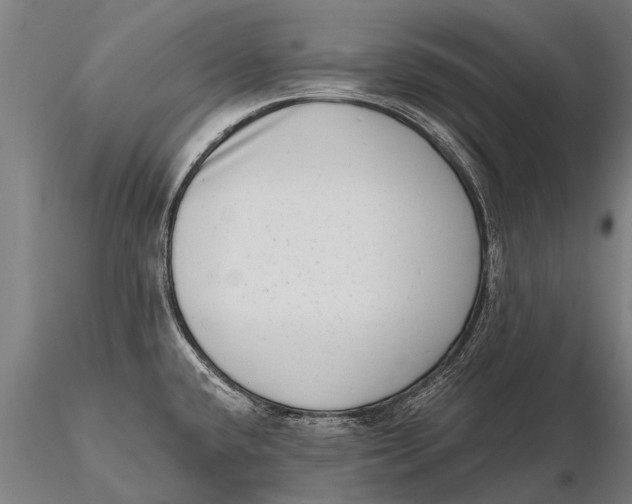 X0000115671432200912031345