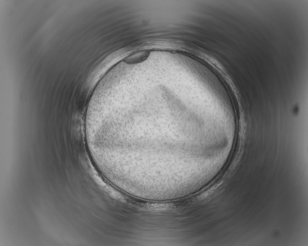 X0000115671433200912031345