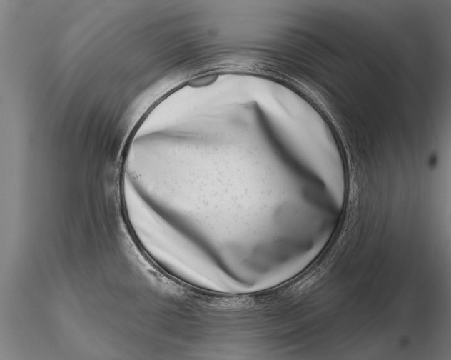 X0000115671434200912031345