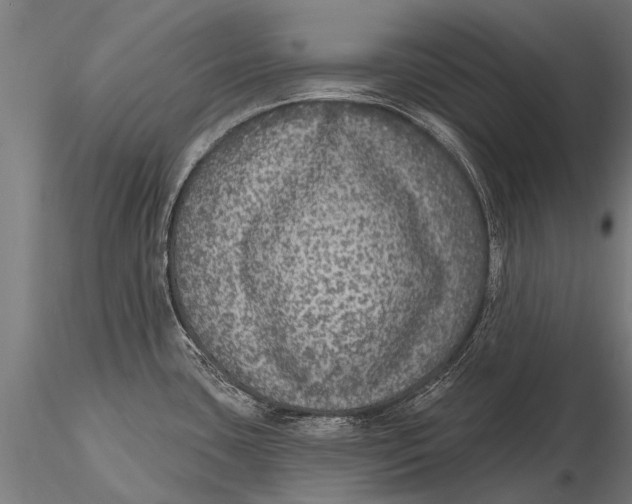 X0000115671435200912031345