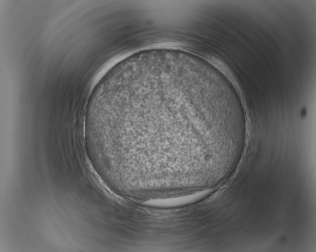 X0000115671436200912031345