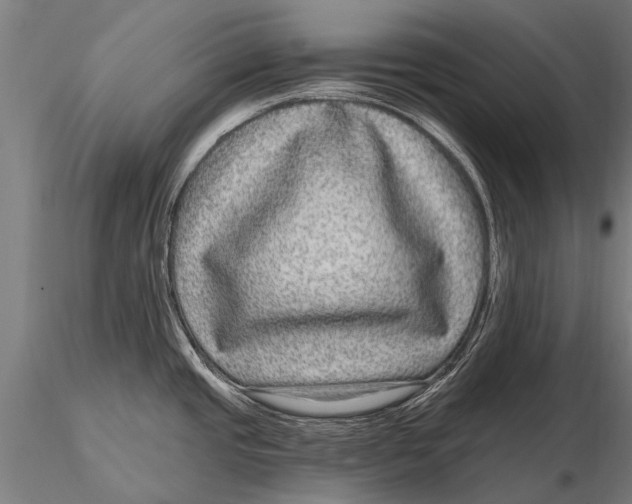 X0000115671437200912031345