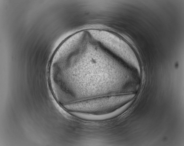 X0000115671438200912031345