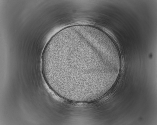 X0000115671439200912031345