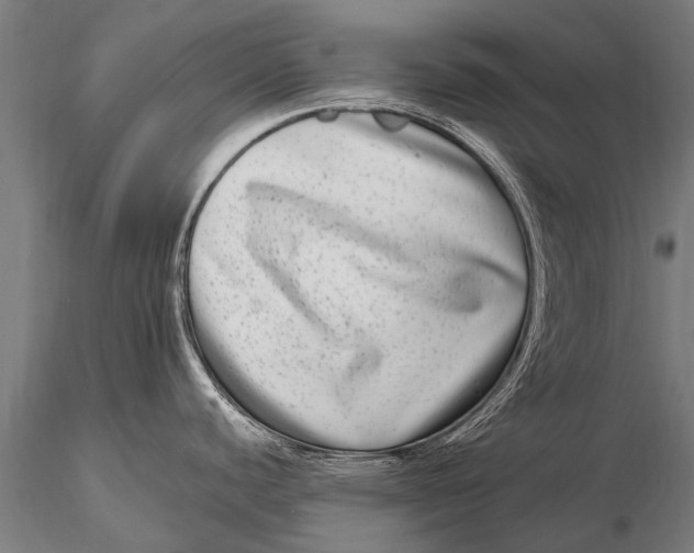 X0000115671440200912031345