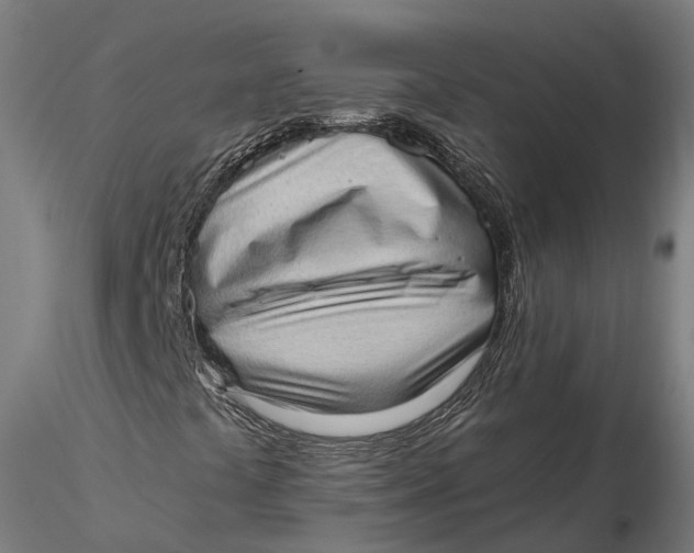 X0000115671441200912031345