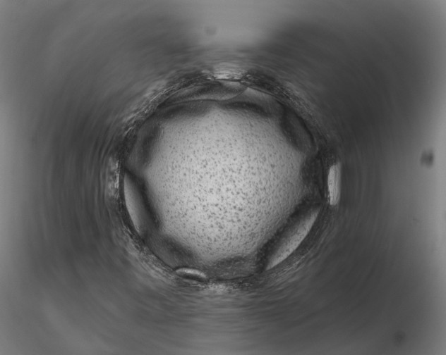 X0000115671443200912031345