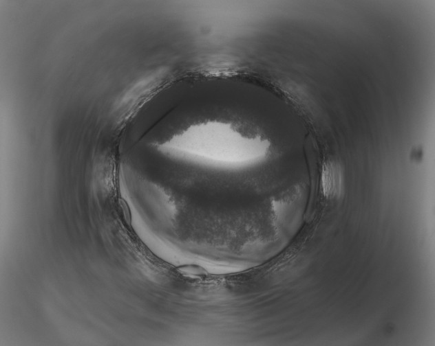 X0000115671444200912031345