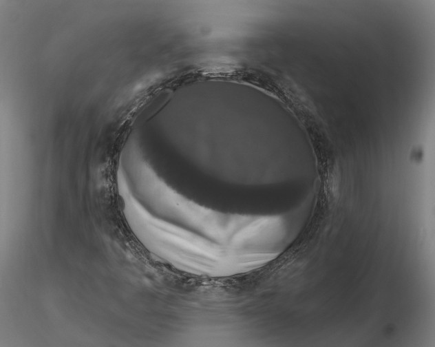 X0000115671445200912031345