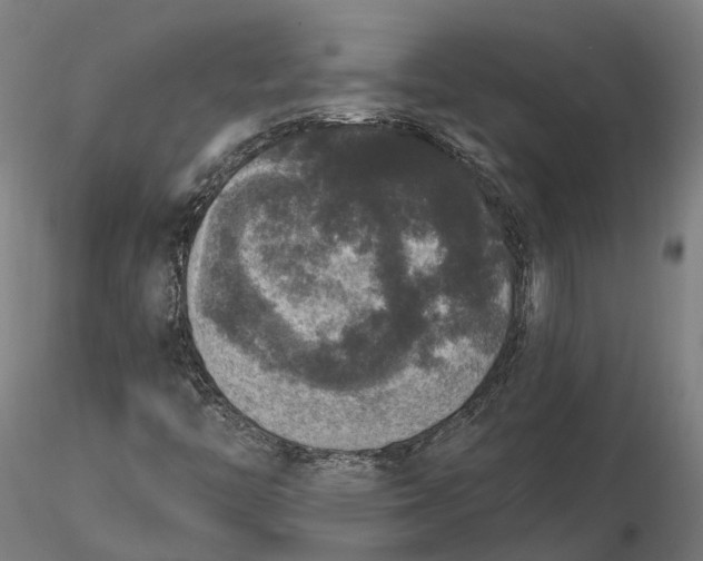 X0000115671446200912031345