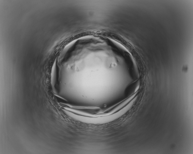 X0000115671447200912031345