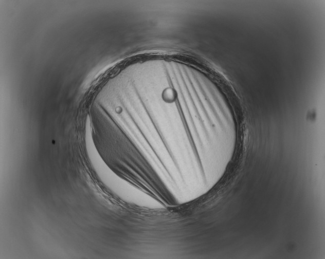 X0000115671448200912031345