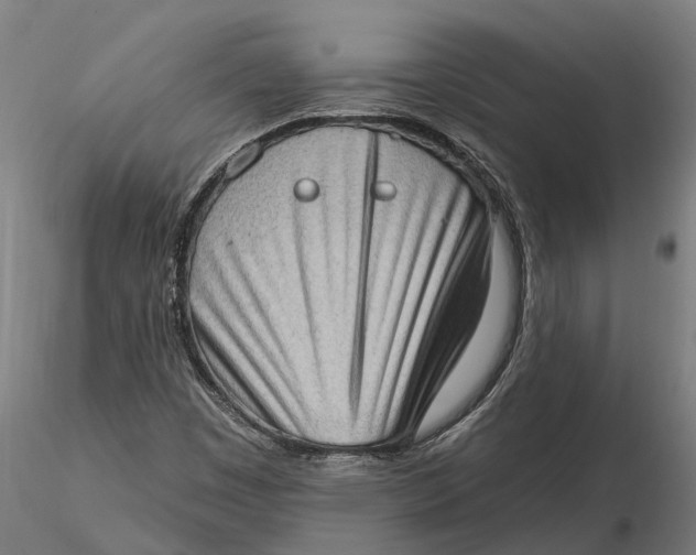 X0000115671449200912031345