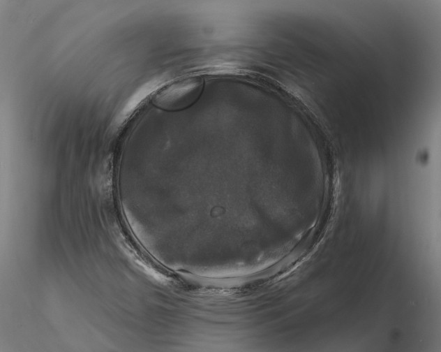 X0000115671450200912031345