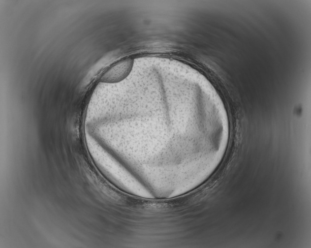 X0000115671451200912031345