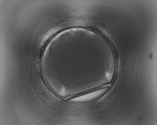 X0000115671453200912031345