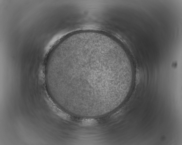 X0000115671454200912031344