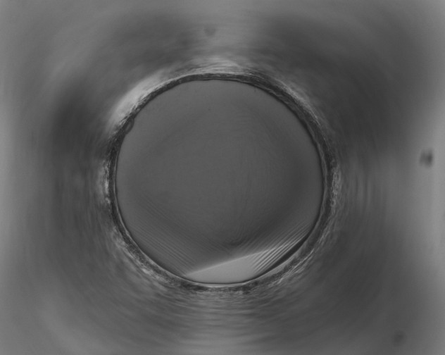 X0000115671455200912031344