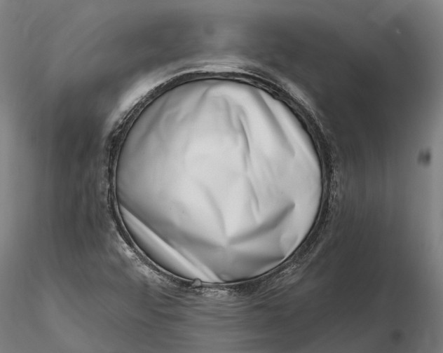 X0000115671456200912031344