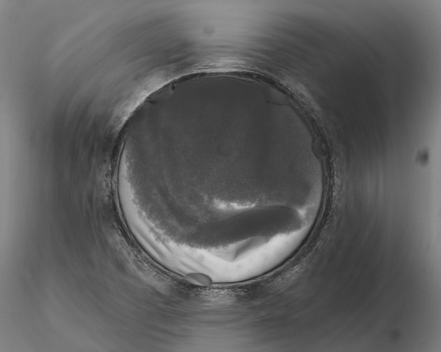 X0000115671457200912031344