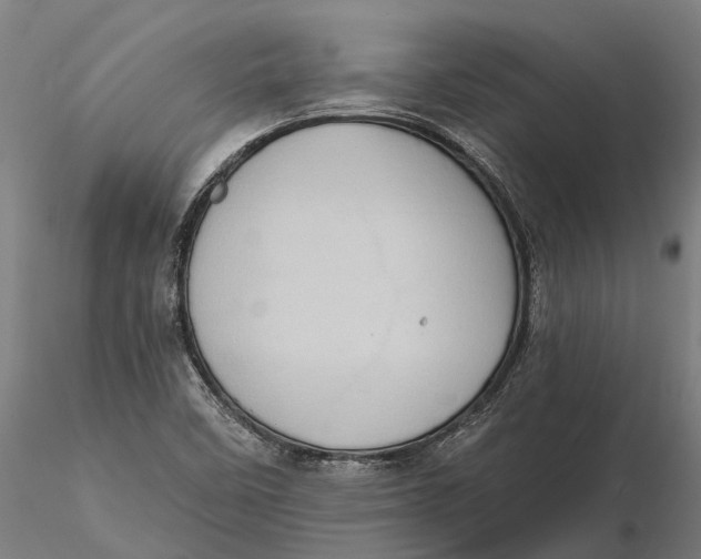 X0000115671458200912031344