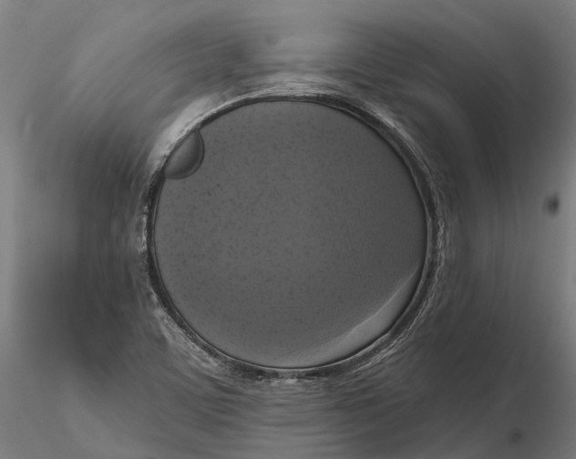 X0000115671459200912031344