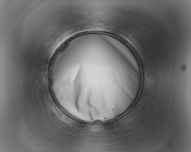 X0000115671460200912031344