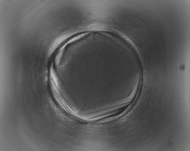 X0000115671461200912031344