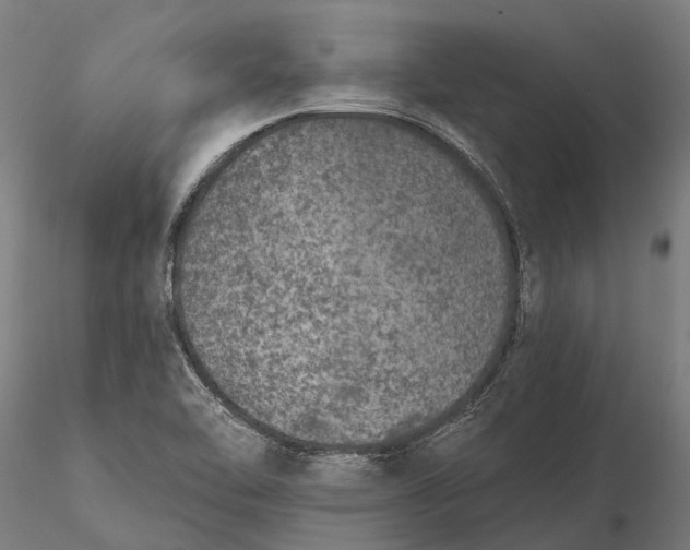 X0000115671462200912031344