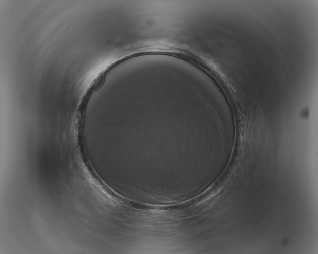 X0000115671463200912031344