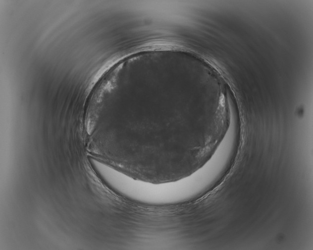 X0000115671465200912031344