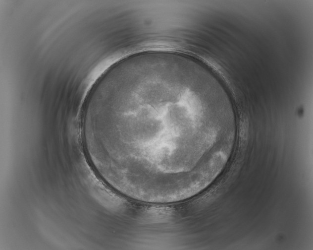 X0000115671466200912031344