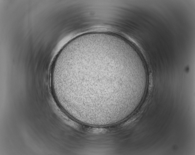 X0000115671467200912031344