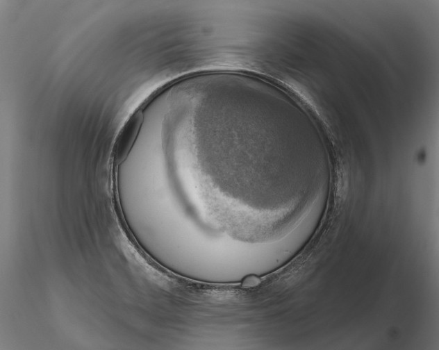 X0000115671468200912031344