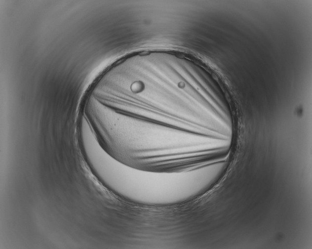 X0000115671469200912031344