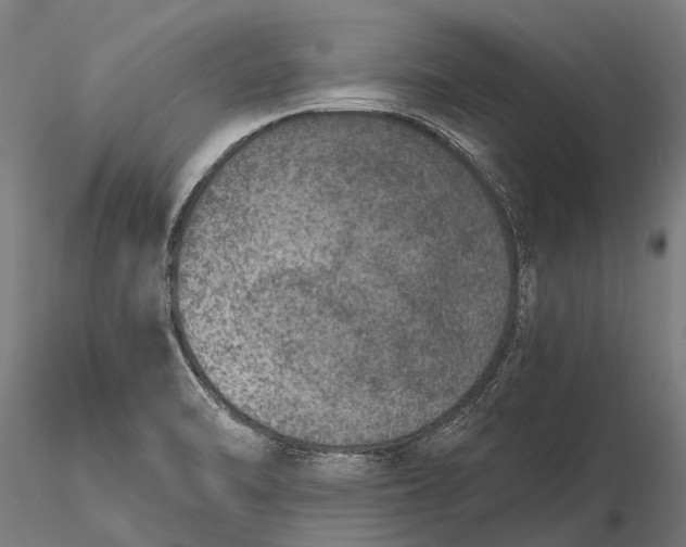 X0000115671470200912031344