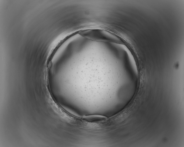 X0000115671472200912031344