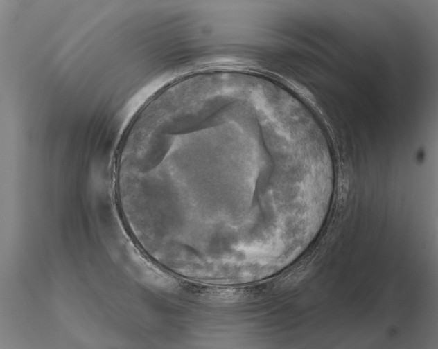 X0000115671474200912031344