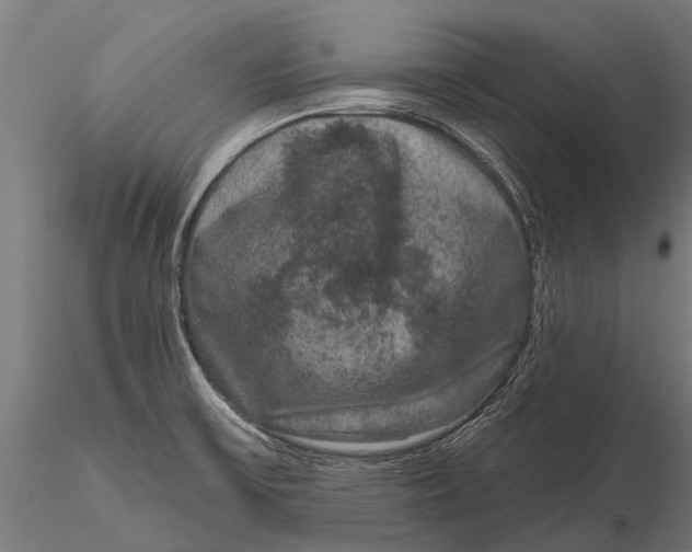 X0000115671475200912031344