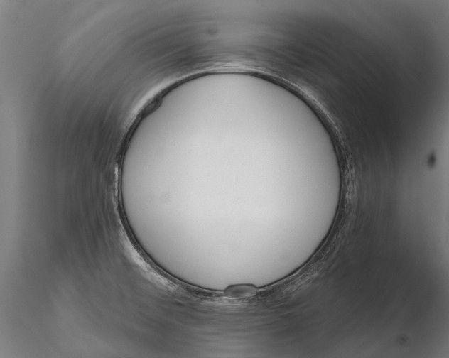 X0000115671476200912031344