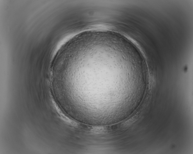 X0000115671477200912031344